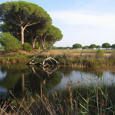 Oltremare Principina a Mare