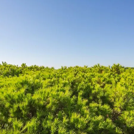 Oltremare Principina a Mare